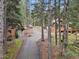 Charming log home with lush green surroundings and a winding driveway at 8905 Carol Ln, Conifer, CO 80433