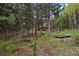 Secluded wooded lot with rustic log home, pond, and charming picnic area at 8905 Carol Ln, Conifer, CO 80433