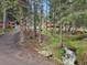 Scenic driveway leads to a log cabin with a flowing creek at 8905 Carol Ln, Conifer, CO 80433