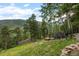 Secluded backyard with mountain views, seating area, and natural landscaping creates a serene outdoor retreat at 80 Spruce Ct, Evergreen, CO 80439