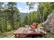 Outdoor deck with mountain views, featuring chairs, tables, and lush greenery for relaxing at 80 Spruce Ct, Evergreen, CO 80439