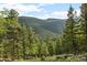 Scenic mountain view through a lush forest with evergreen trees on a bright sunny day at 80 Spruce Ct, Evergreen, CO 80439