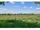Expansive field offers picturesque views of distant mountains and a tranquil natural setting at 4899 S Dudley St # 7E, Littleton, CO 80123