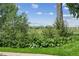 Beautiful grounds with native shrubs, green grass and mountain views at 4899 S Dudley St # 7E, Littleton, CO 80123
