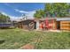 Expansive backyard features green lawn, patio, and a trampoline at 9221 High St, Thornton, CO 80229
