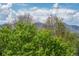 Beautiful mountain view from property, framed by lush greenery and trees at 11460 W Tanforan Cir, Littleton, CO 80127