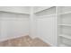 A functional walk-in closet featuring carpet and shelves for organized storage at 18712 E 99Th Ave, Commerce City, CO 80022