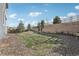 Grassy back yard featuring landscaping, fencing, and privacy at 2188 Abigail Ln, Castle Rock, CO 80104