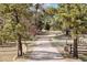 Long private driveway framed by mature trees leading to the property at 12493 Forest Canyon Dr, Parker, CO 80138