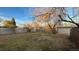Lawn in backyard with fencing around the perimeter at 7604 Reed St, Arvada, CO 80003