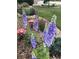 Beautiful garden with colorful flowers and lush greenery at 11918 S Hitching Post Trl, Parker, CO 80134