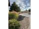 Well-manicured front yard with native plants, a winding driveway, and wildlife in the distance at 2430 Marlin Way, Castle Rock, CO 80109