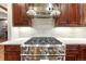 Close-up of a high end range with white subway tile backsplash and wooden cabinets at 10459 Rivington Ct, Lone Tree, CO 80124