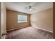 A standard bedroom with plush carpeting, ceiling fan, and natural light from the window at 1419 Red Mountain Dr # 126, Longmont, CO 80504