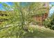 Landscaped front yard featuring a mature tree, green lawn, and decorative rock border, adding curb appeal to the home at 5842 High Timber Cir, Castle Rock, CO 80104