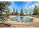Community pool with a green cover, surrounded by trees and lush landscaping at 8475 Pebble Creek Way # 204, Highlands Ranch, CO 80126