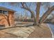 Spacious backyard featuring a large tree and concrete patio at 6032 Estes St, Arvada, CO 80004