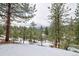 Scenic view of a snow-covered forest with tall pine trees at 45 Oak Way, Evergreen, CO 80439