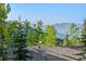 A scenic view featuring mountains and lush greenery, showcasing a tranquil and serene landscape at 375 Castlewood Dr, Evergreen, CO 80439