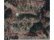 Expansive aerial view of the large property surrounded by mature trees and a winding road, offering privacy and natural beauty at 3800 Lakota Rd, Indian Hills, CO 80454