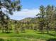 Lush green backyard with mature trees and a scenic view of the rolling hills at 3800 Lakota Rd, Indian Hills, CO 80454