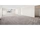 Large bonus room area featuring carpet floors and neutral paint at 12997 Wyandot Way, Westminster, CO 80234