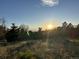 Scenic landscape featuring a sunrise/sunset behind trees and tall grass and a clear blue sky at 10426 Tomahawk Rd, Parker, CO 80138