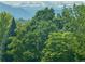 Trees create a natural privacy barrier with views of the distant mountains in this scenic neighborhood at 4515 W 107Th Cir, Westminster, CO 80031