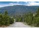 Scenic view of the driveway leading to the property surrounded by lush greenery at 192 Little Creek Rd, Idaho Springs, CO 80452