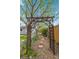 Inviting backyard walkway with a wooden arbor and stone pavers surrounded by beautiful landscaping at 835 S Shoshone St, Denver, CO 80223
