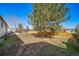 Well-maintained backyard with lush grass, mature trees providing shade, and ample space for recreation at 9231 W Louisiana Ave, Lakewood, CO 80232
