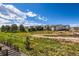Community view showcasing the well-maintained yards, sidewalks, and green spaces at 268 Simmental Loop, Castle Rock, CO 80104