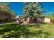 Expansive backyard with mature trees, a pergola, and a storage shed offering a great outdoor living space at 5000 S Chester St, Greenwood Village, CO 80111
