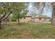 Expansive backyard showing the property's fencing, mature trees, and well-kept lawn at 55 Emerald St, Broomfield, CO 80020
