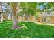 Manicured lawn and mature trees create a serene setting for this brick townhouse complex at 1517 S Owens St # 5, Denver, CO 80232