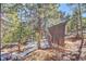 Exterior of a backyard shed, surrounded by lush trees and partial snow coverage at 11540 Inspiration Rd, Golden, CO 80403