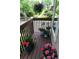 Cozy balcony featuring a variety of potted plants, adding a touch of nature to the outdoor space at 1470 S Quebec Way # 245, Denver, CO 80231