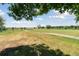 Scenic backyard with large green lawn, mature trees, and a view of the horizon at 1123 Oakhurst Dr, Broomfield, CO 80020