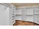 Large walk-in closet with multiple storage shelves and hanging rods for optimal organization at 5531 Fox Meadow Ave, Highlands Ranch, CO 80130