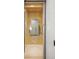 Home elevator featuring paneled walls and a mirrored back, providing a glimpse of the kitchen at 257 Jackson St, Denver, CO 80206