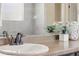 Elegant bathroom vanity with decorative accents and modern fixtures at 1673 Morningview Ln, Castle Rock, CO 80109