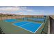 Community pickleball courts showing multiple courts with nets and fencing at 20162 E 53Rd Pl, Denver, CO 80249
