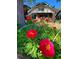 Charming front yard with vibrant red peonies and a view of the delightful brick home and welcoming porch at 2541 Cherry St, Denver, CO 80207