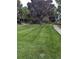 Spacious and well-manicured front lawn offering a serene and inviting outdoor space at 9060 E Cherry Creek South Dr # E, Denver, CO 80231