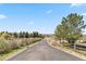 Long driveway leading to the property, lined with lush greenery and trees at 7388 S Ireland Cir, Centennial, CO 80016