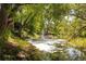 Scenic backyard pond with a fountain and lush greenery around the edges at 3935 Pierson St, Wheat Ridge, CO 80033