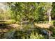 Peaceful pond surrounded by mature trees and lush vegetation at 3935 Pierson St, Wheat Ridge, CO 80033