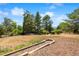 Beautiful backyard setting with lush greenery at 2711 S Fenton St, Denver, CO 80227