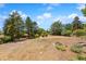 Backyard of property with large trees, foliage, and mulch ground covering at 2711 S Fenton St, Denver, CO 80227