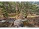 Serene creek flowing through a lush forest setting, showcasing a peaceful outdoor environment at 30264 Upper Bear Creek Rd, Evergreen, CO 80439